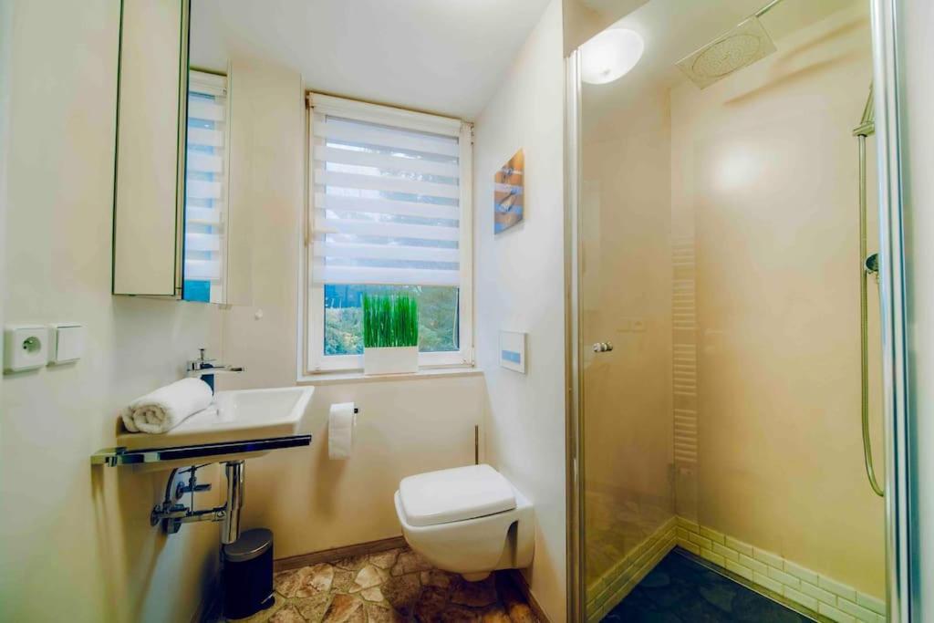 Lejlighed Lovely 3bd - Rooftop - Jacuzzi&sauna Prag
